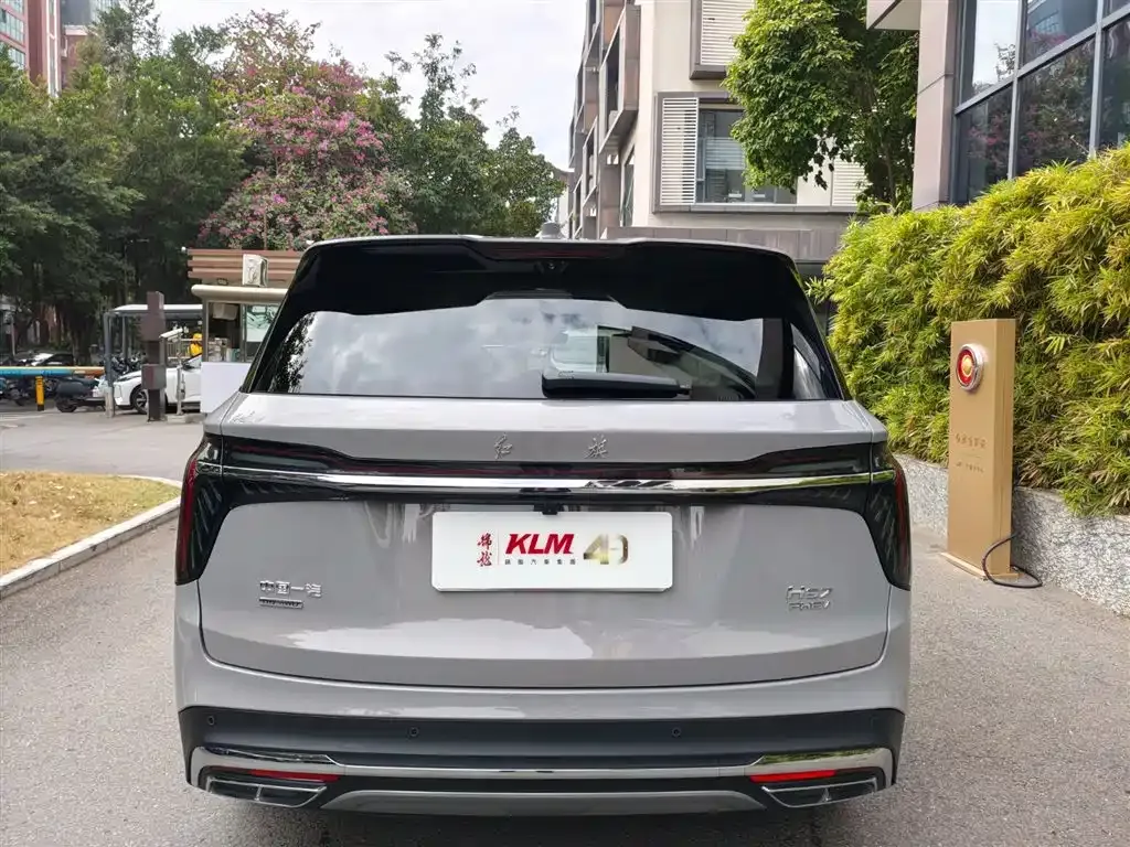 Hongqi HS7 PHEV 2025 из CN, фото 7