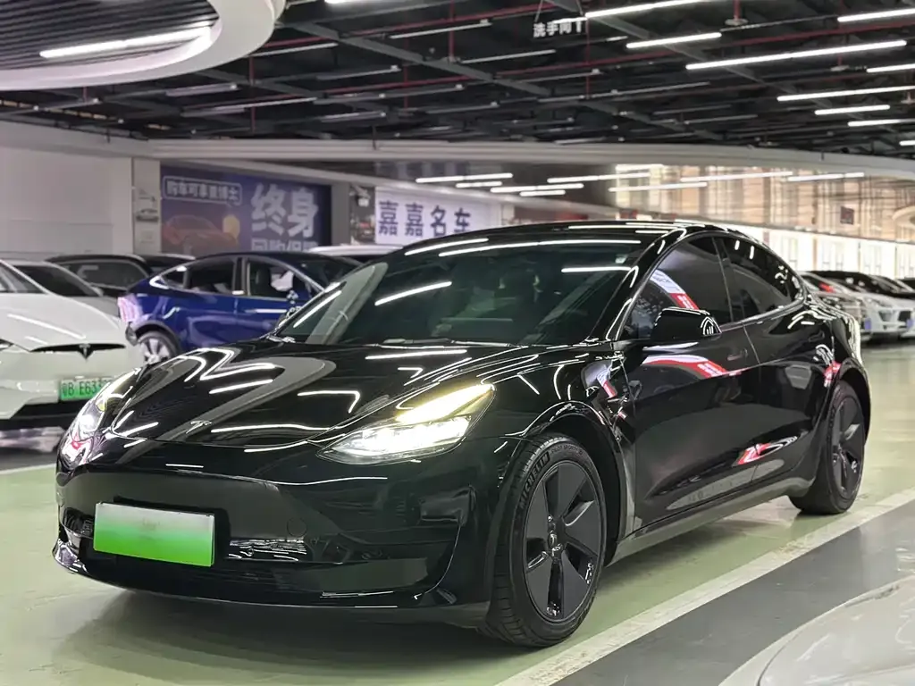 Tesla Model 3 2021 из CN, фото 1