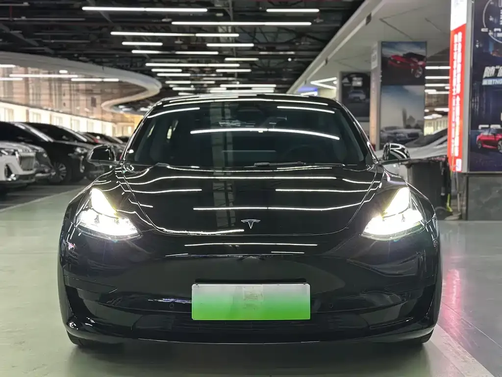 Tesla Model 3 2021 из CN, фото 2
