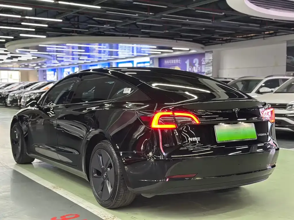 Tesla Model 3 2021 из CN, фото 4