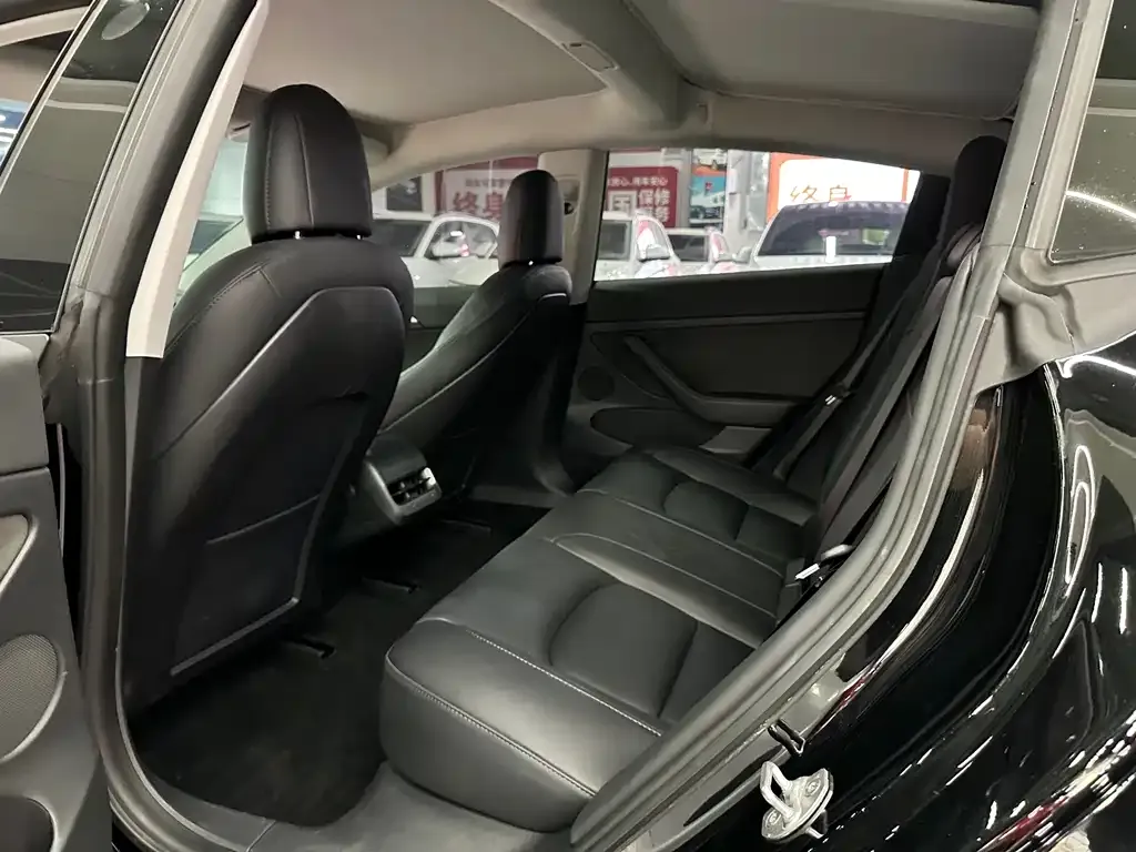Tesla Model 3 2021 из CN, фото 7