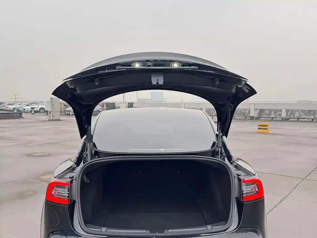 Tesla Model 3 2022 из CN, фото 7