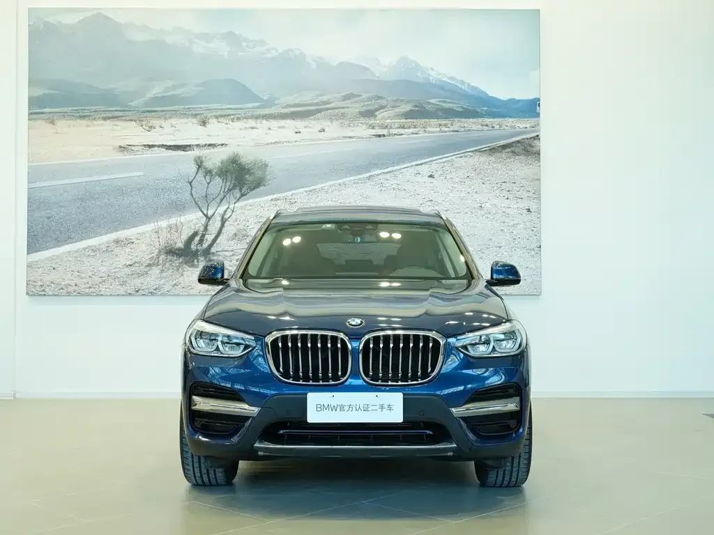 BMW X3 2021 из CN, фото 5