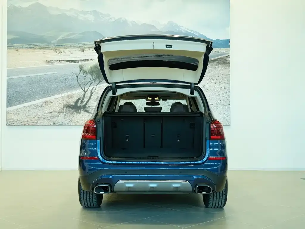 BMW X3 2021 из CN, фото 6