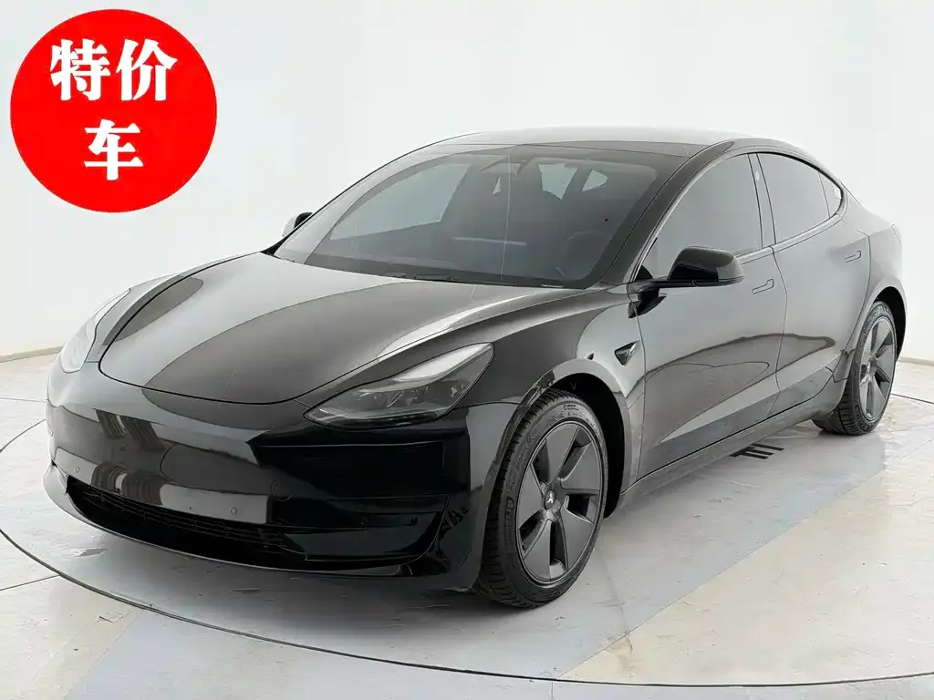 Tesla Model 3 2021 из CN, фото 1