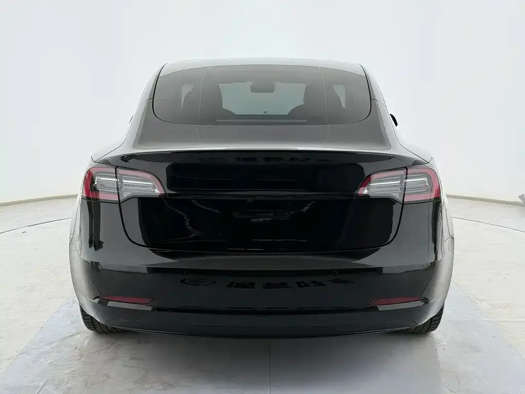 Tesla Model 3 2021 из CN, фото 3