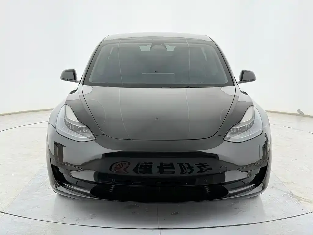 Tesla Model 3 2021 из CN, фото 4