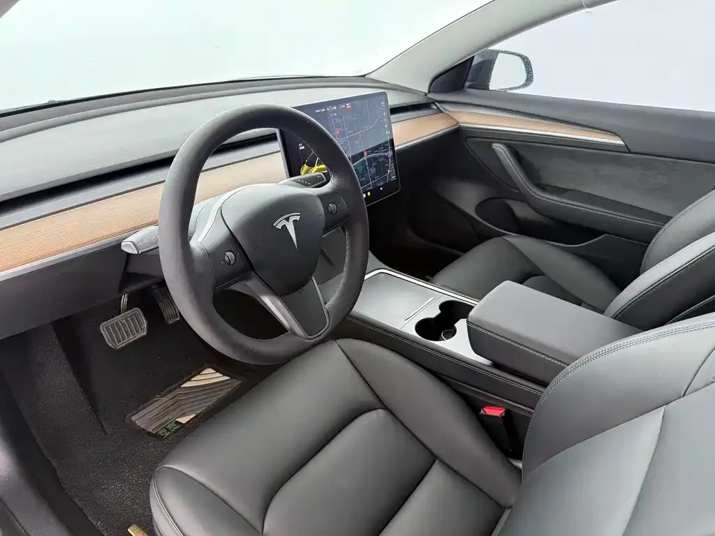Tesla Model 3 2021 из CN, фото 6