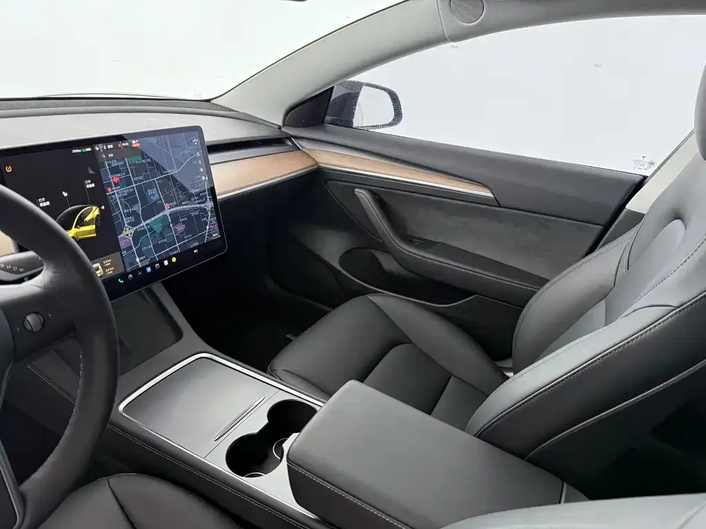 Tesla Model 3 2021 из CN, фото 9