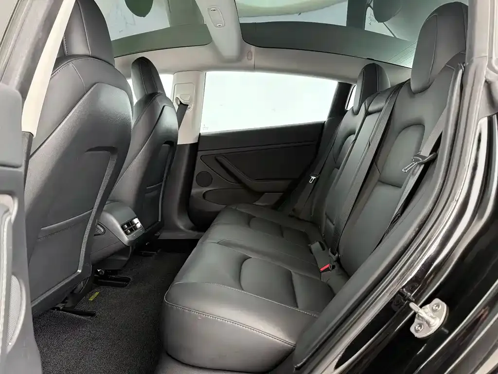 Tesla Model 3 2021 из CN, фото 10