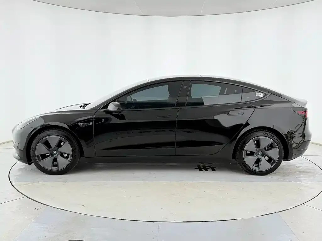Tesla Model 3 2021 из CN, фото 8
