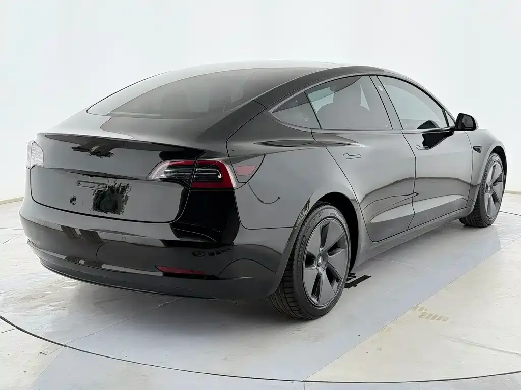 Tesla Model 3 2021 из CN, фото 7