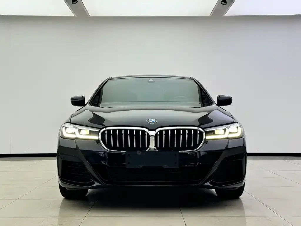 BMW 5 Series 2022 из CN, фото 2