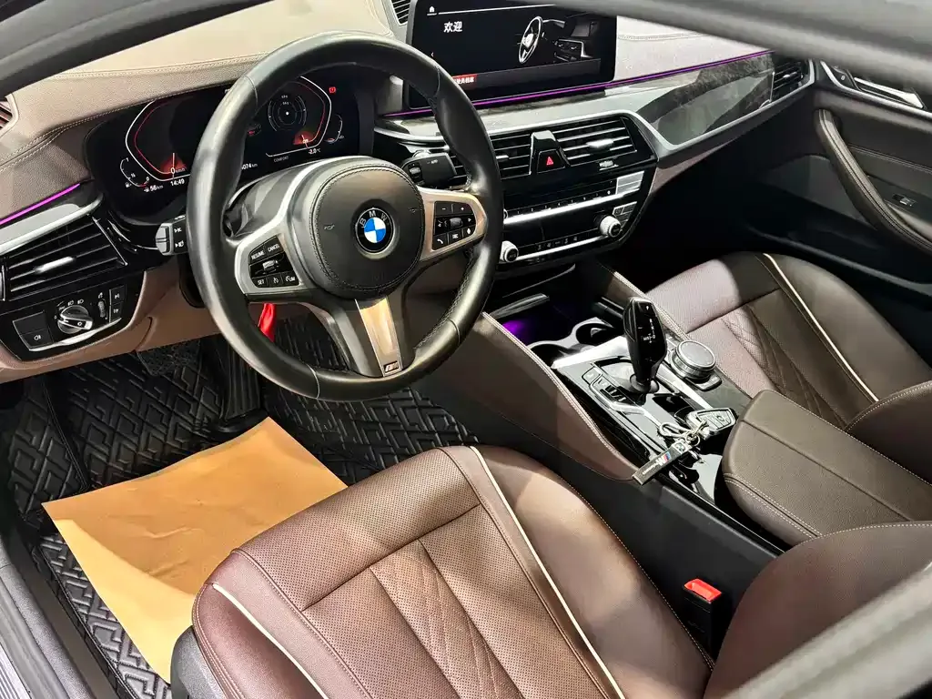BMW 5 Series 2022 из CN, фото 9