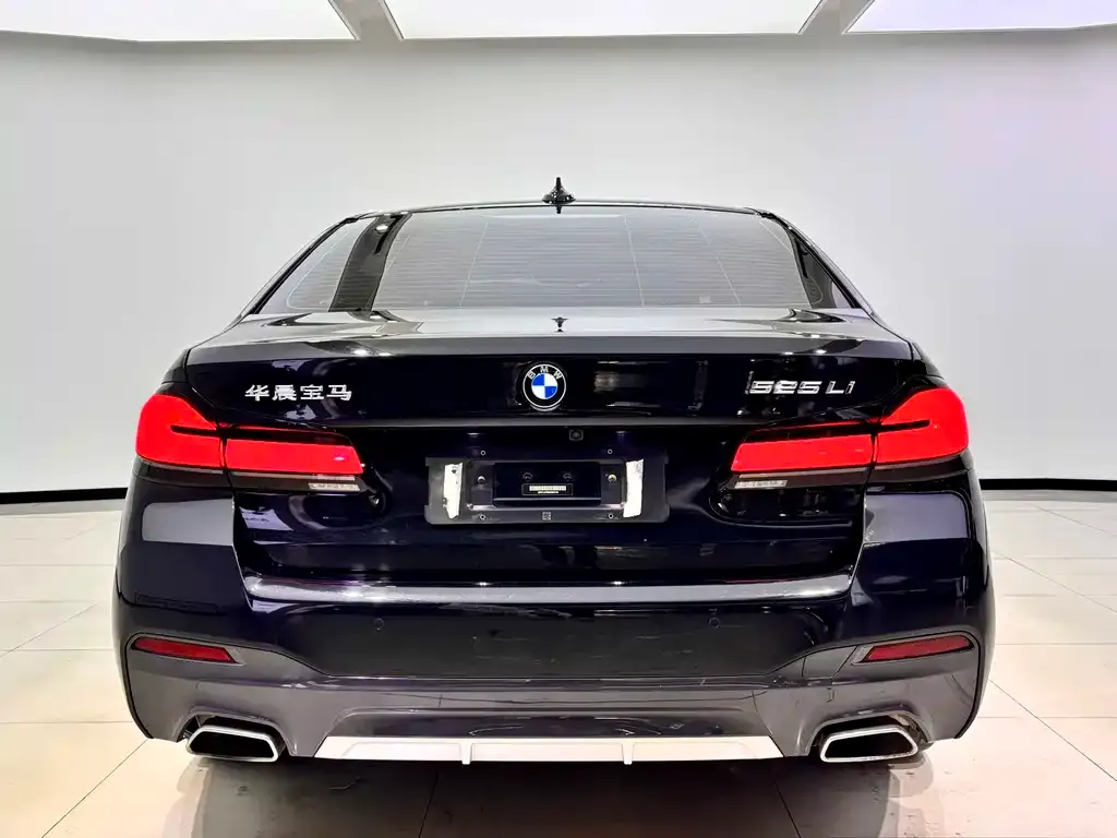 BMW 5 Series 2022 из CN, фото 3