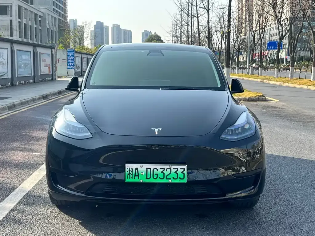 Tesla Model Y 2023 из CN, фото 7