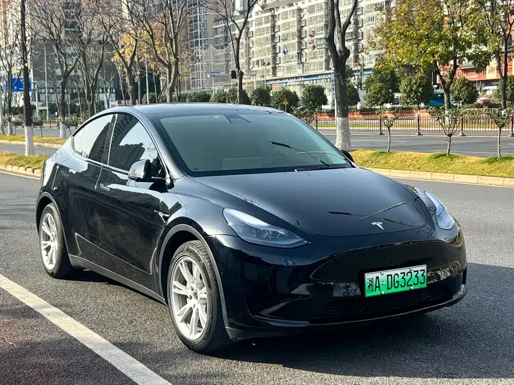 Tesla Model Y 2023 из CN, фото 6
