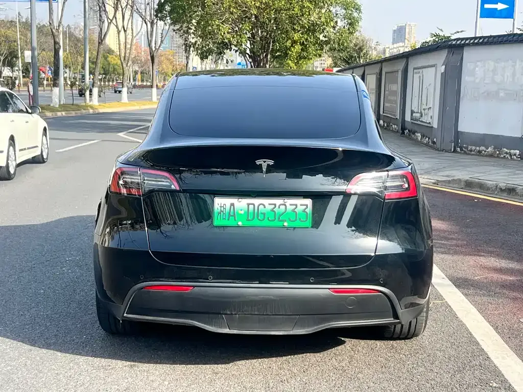 Tesla Model Y 2023 из CN, фото 5