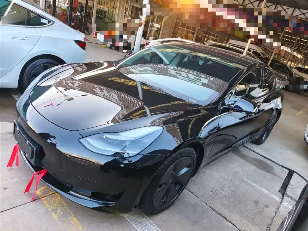 Tesla Model 3 2021 из CN, фото 2