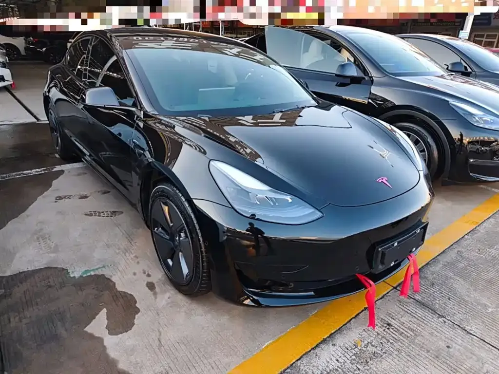 Tesla Model 3 2021 из CN, фото 4