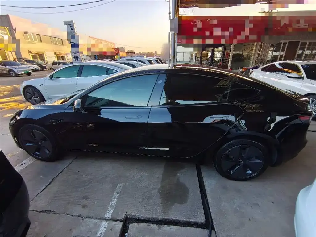 Tesla Model 3 2021 из CN, фото 5