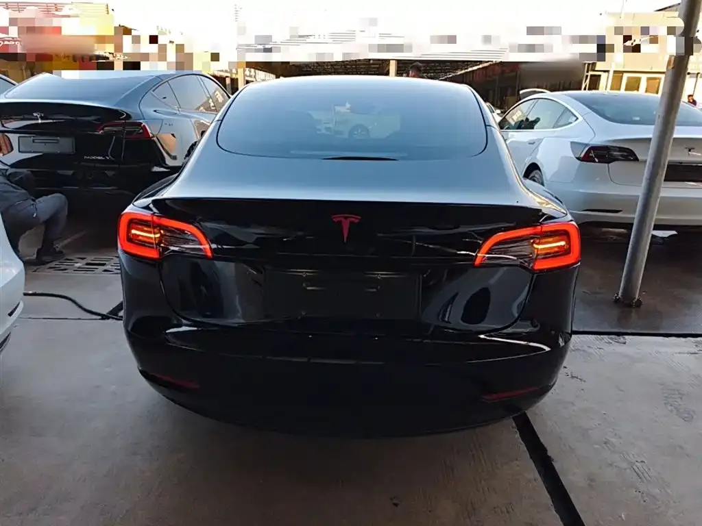 Tesla Model 3 2021 из CN, фото 6