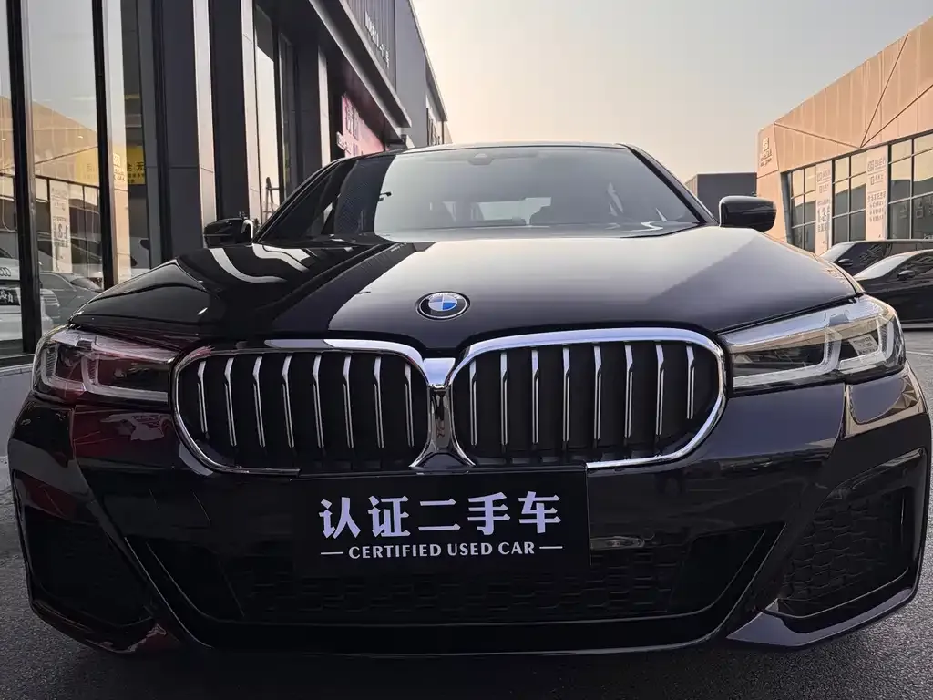 BMW 5 Series 2023 из CN, фото 3