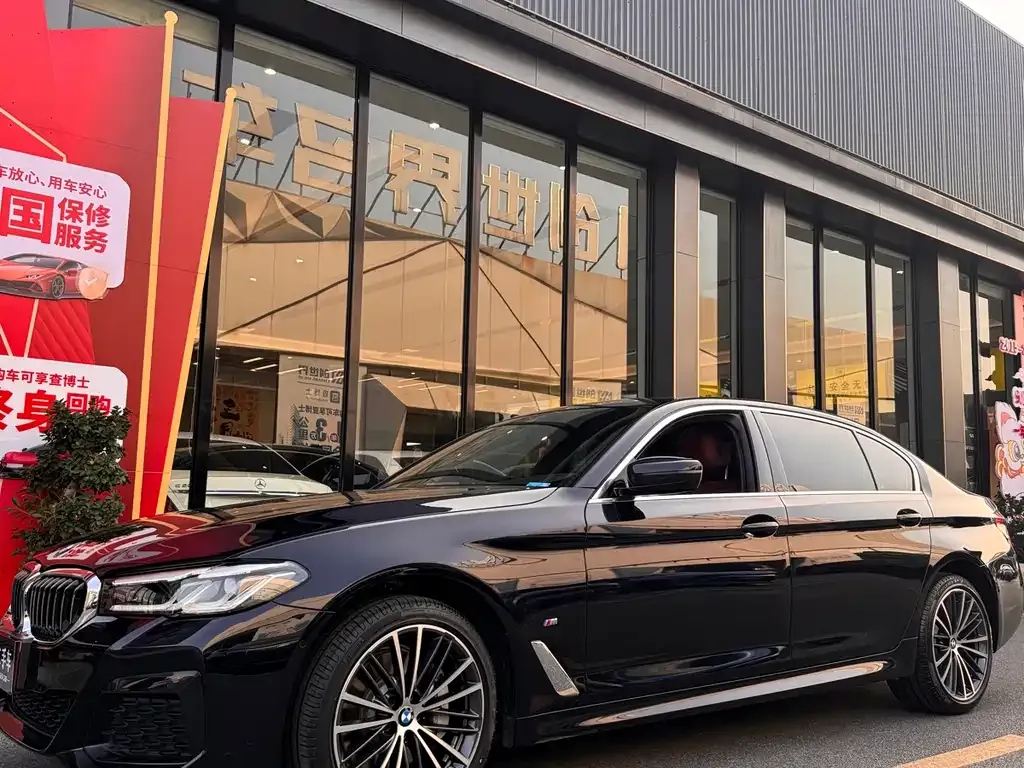 BMW 5 Series 2023 из CN, фото 7