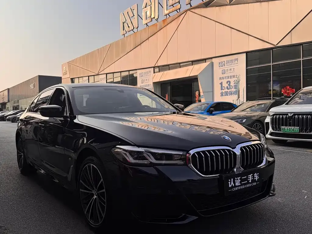 BMW 5 Series 2023 из CN, фото 10