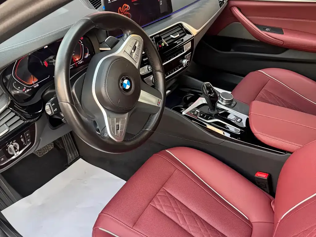 BMW 5 Series 2023 из CN, фото 5