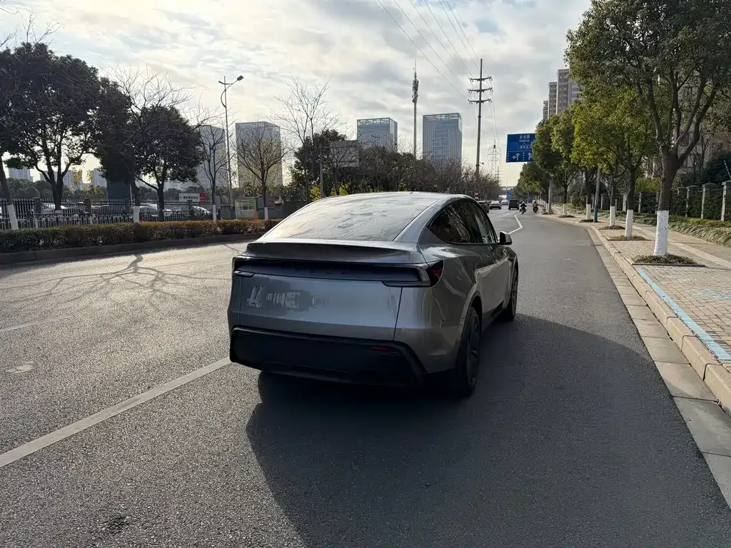 Tesla Model Y 2025 из CN, фото 3