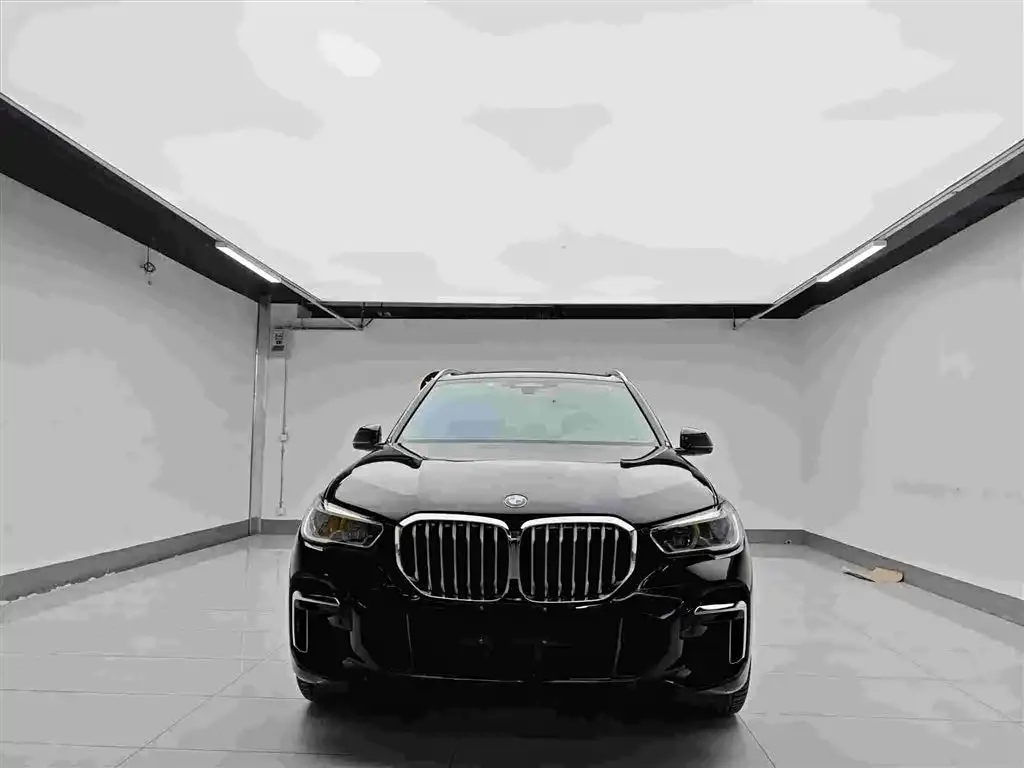 BMW X5 2023 из CN, фото 1
