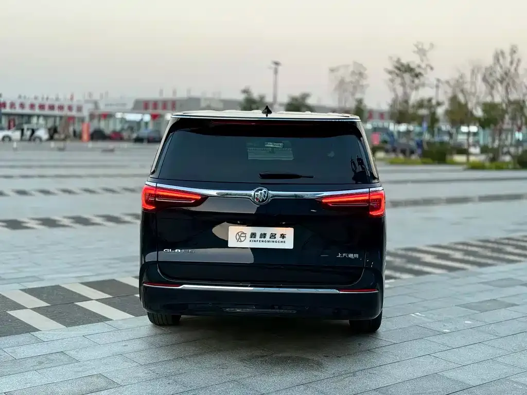 Buick GL8 2024 из CN, фото 6