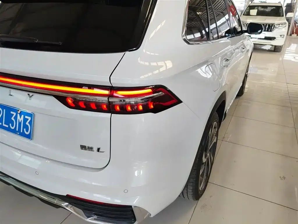 Geely Xingyue L 2024 из CN, фото 3