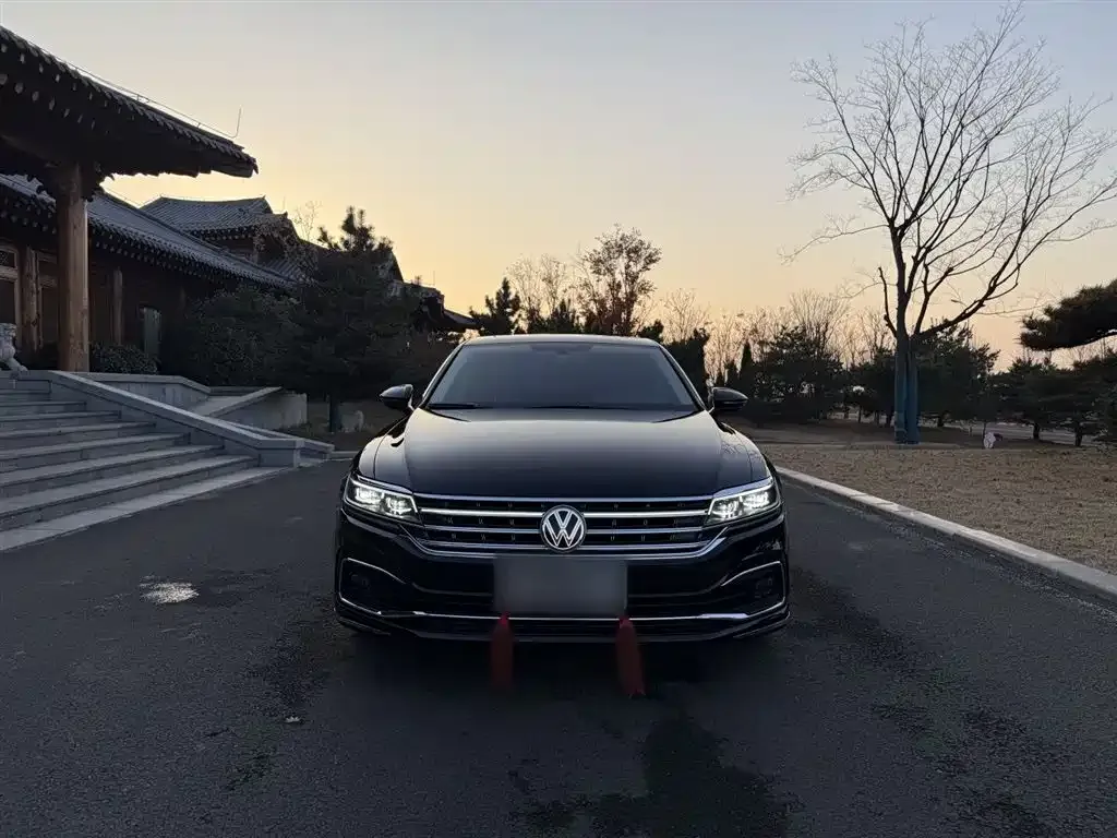 Volkswagen Phideon 2021 из CN, фото 3
