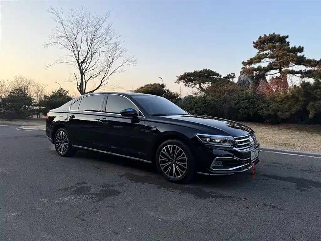 Volkswagen Phideon 2021 из CN, фото 4