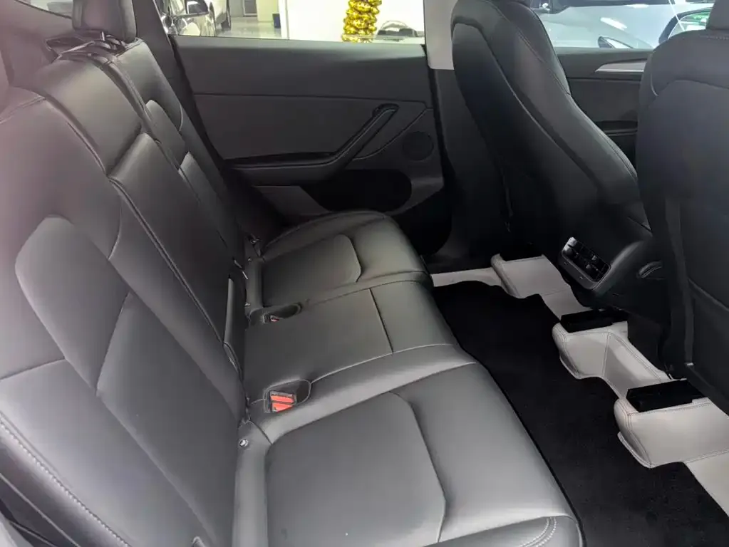 Tesla Model Y 2023 из CN, фото 2