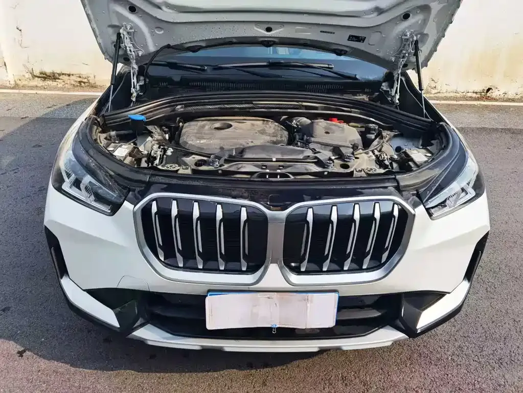 BMW X1 2023 из CN, фото 9