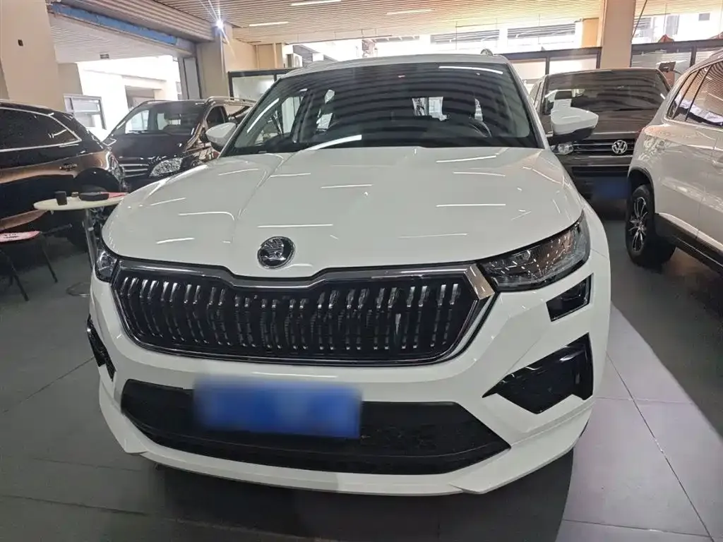 Skoda Kodiaq 2024 из CN, фото 3