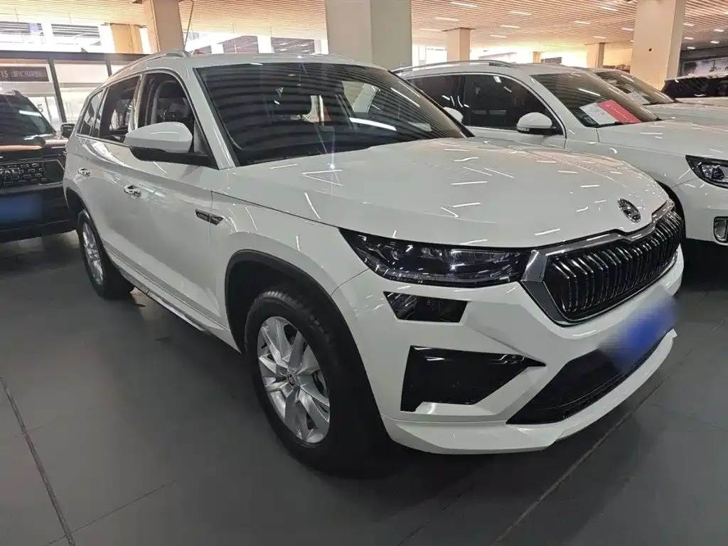 Skoda Kodiaq 2024 из CN, фото 4