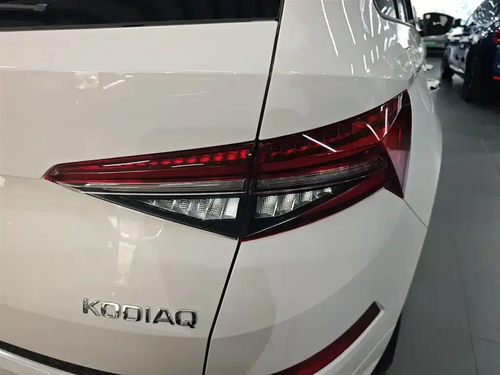 Skoda Kodiaq 2024 из CN, фото 8