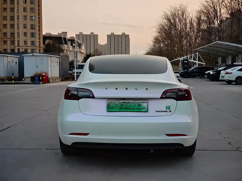 Tesla Model 3 2022 из CN, фото 6