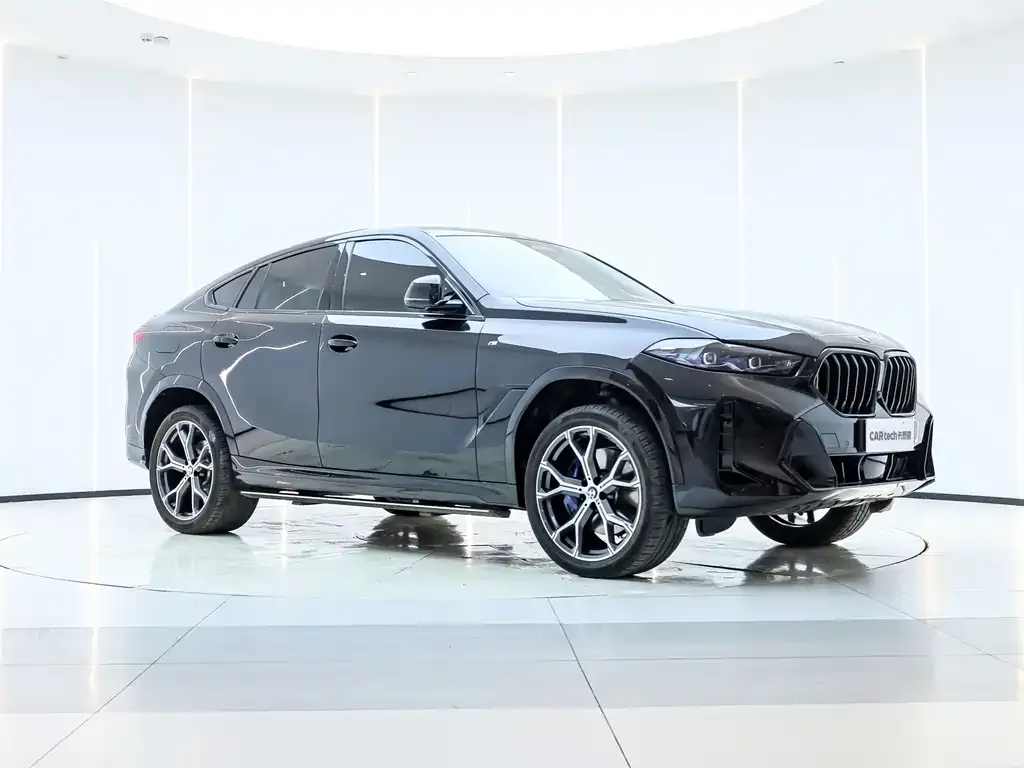 BMW X6 2023 из CN, фото 6