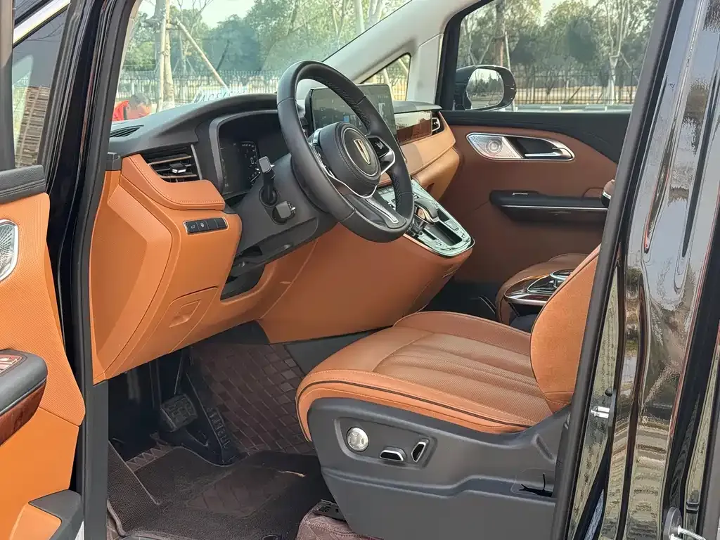 Hongqi HQ9 2023 из CN, фото 6