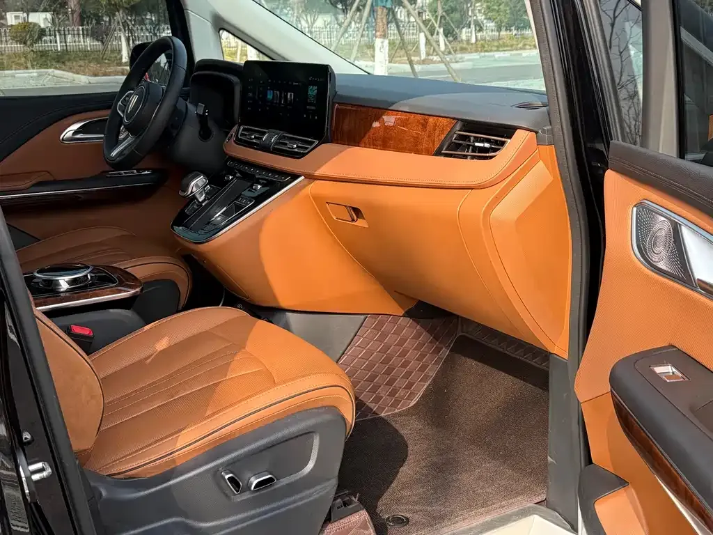 Hongqi HQ9 2023 из CN, фото 5