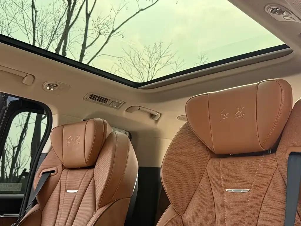 Hongqi HQ9 2023 из CN, фото 9