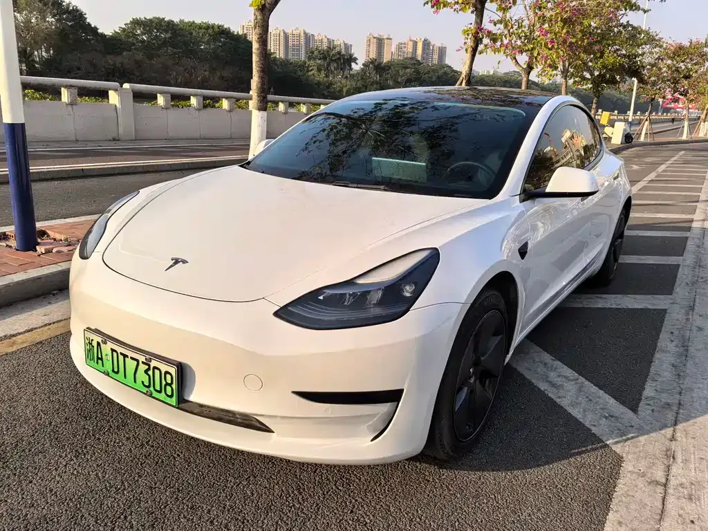 Tesla Model 3 2023 из CN, фото 1