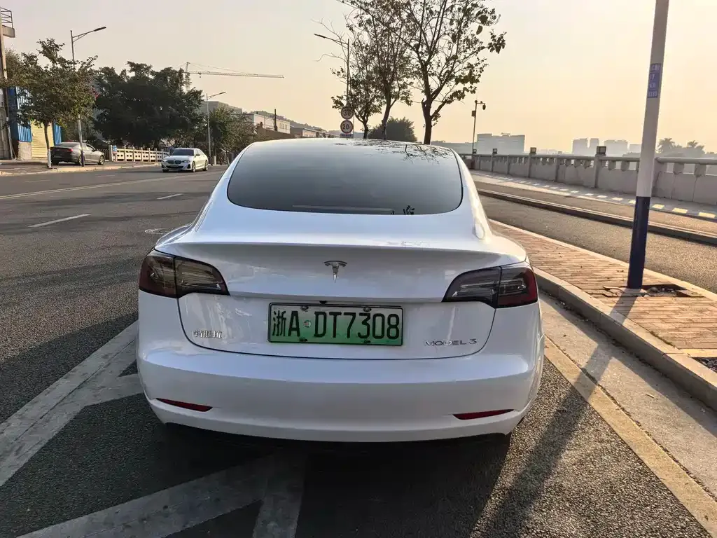 Tesla Model 3 2023 из CN, фото 5