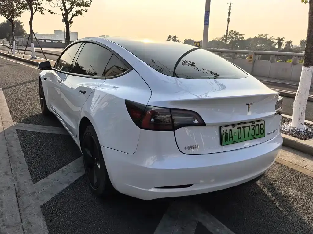 Tesla Model 3 2023 из CN, фото 9