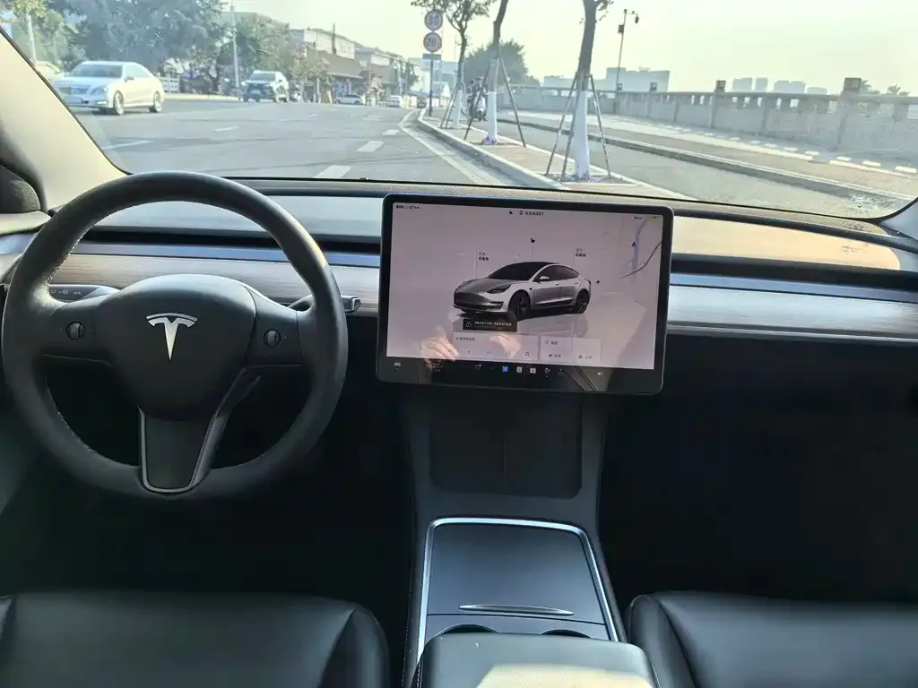Tesla Model 3 2023 из CN, фото 6